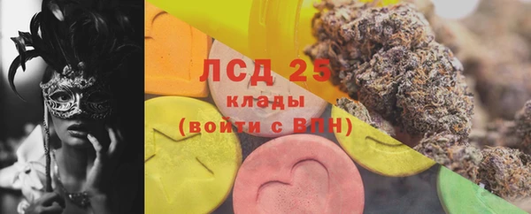 соль ск Каменка