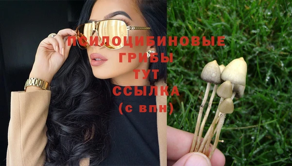 амф Карпинск
