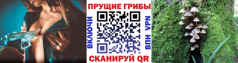 Галлюциногенные грибы Cubensis  Светлоград 